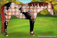 Horse Color:Void Plaid Smoky Black Pearl Sabino Tobiano Rabicano