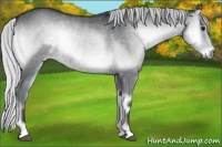 Horse Color:Silver Blue Onyx Chinchilla 