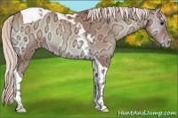 Horse Color:Chocolate Silver Classic Champagne Ice Onyx Tobiano 