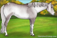 Horse Color:Chocolate Silver Blue Onyx Chinchilla Tobiano 