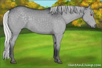 Horse Color:Silver Grullo Chinchilla 