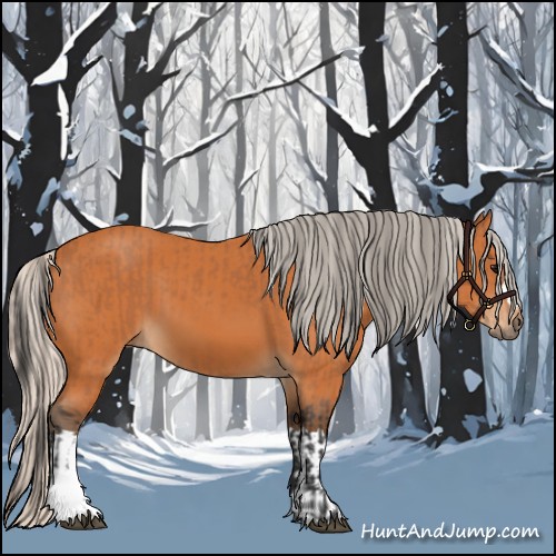 Horse Color:Bay and Silver Bay