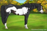 Horse Color:Brown Frame 