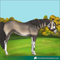 Horse Color:White Spotted Smoky Blue Onyx 