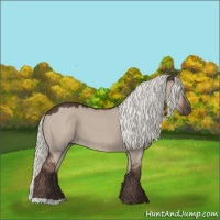 Horse Color:Liver Red Dun Mushroom 