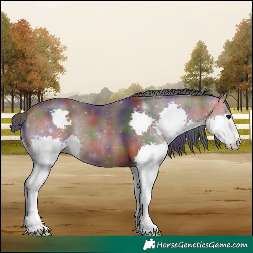 Horse Color:Nacre Bay Splash 