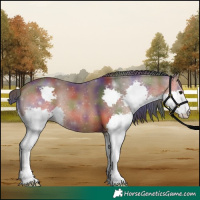 Horse Color:Nacre Bay Splash 