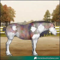 Horse Color:Nacre Bay Splash 