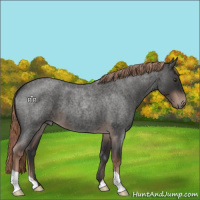 Horse Color:Liver Red Roan 