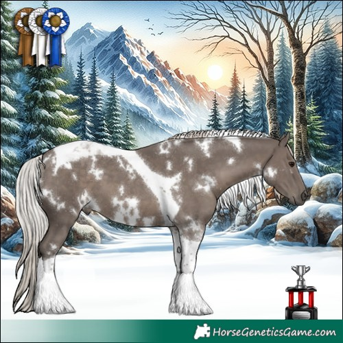 Horse Color:White Spotted Silver Black Tobiano 