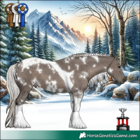 Horse Color:White Spotted Silver Black Tobiano 