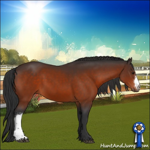 Horse Color:Brown 