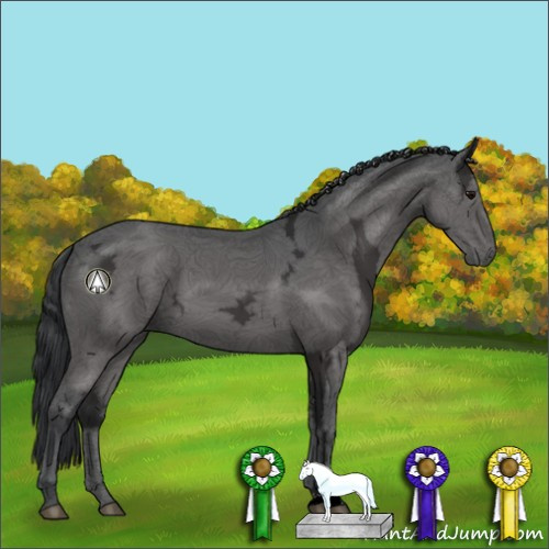 Horse Color:Black Ice 