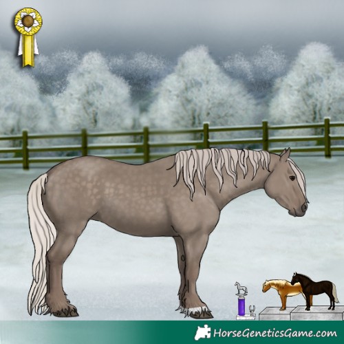 Horse Color:Silver Grullo 