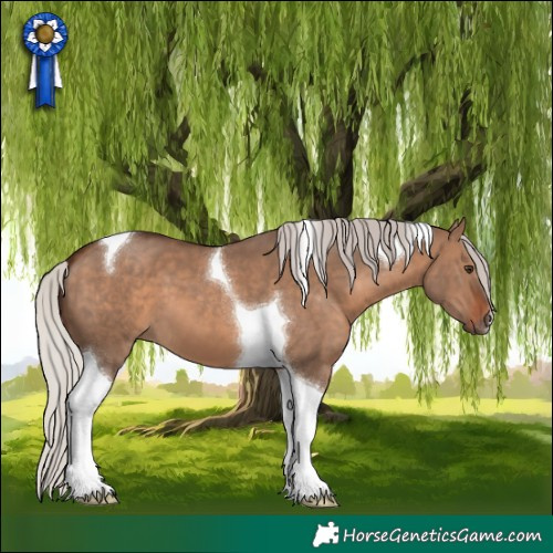 Horse Color:Silver Brown Dun Tobiano 