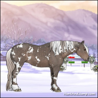 Horse Color:White Spotted Silver Black 