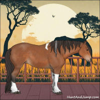 Horse Color:Bay Tobiano Rabicano