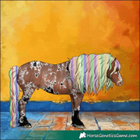 Horse Color:Painted White Spotted Silver Bay Appaloosa Rabicano