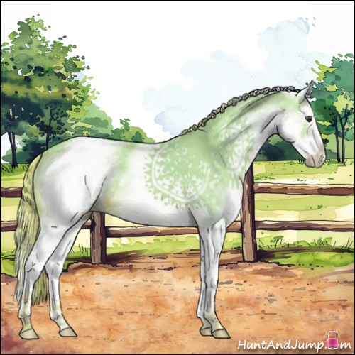 Horse Color:Watercolor White Spotted Chestnut Splash