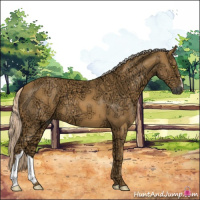 Horse Color:Palomino Ice 