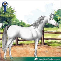 Horse Color:Liver Chestnut Splash Tobiano Appaloosa 
