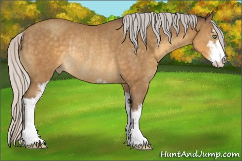 Horse Color:Silver Sable Cream Champagne Sabino Rabicano 