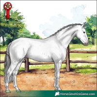 Horse Color:Gray Liver Chestnut Sabino Blanket 