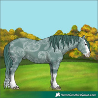 Horse Color:Watercolor Black Ice Splash 