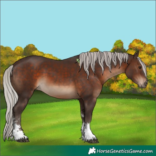 Horse Color:Silver Brown Sabino 