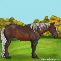 Horse Color:Silver Brown 