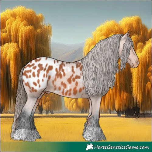 Horse Color:Bay Appaloosa 