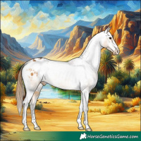 Horse Color:Buckskin Blanket