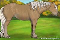 Horse Color:Silver Smoky Black