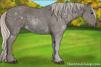 Horse Color:Silver Black 