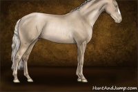 Horse Color:Chocolate Palomino Pearl Rabicano 