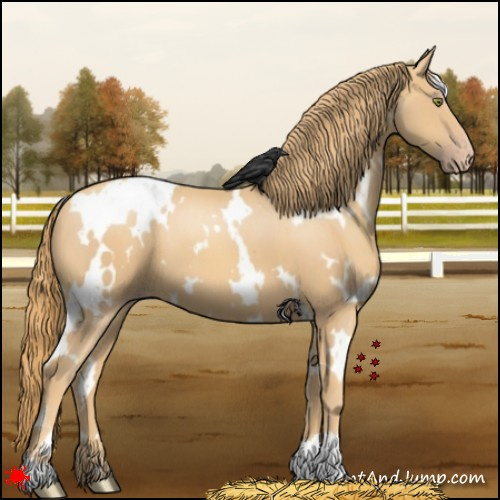 Horse Color:White Spotted Gold Champagne