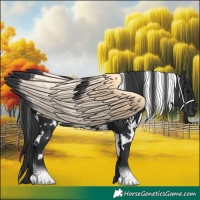 Horse Color:White Spotted Black 