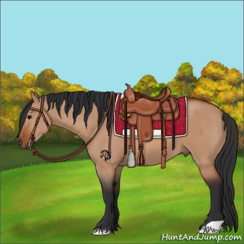 Horse Color:Bay Dun