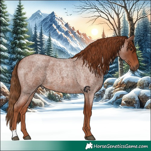 Horse Color:Red Roan 