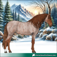 Horse Color:Red Roan 