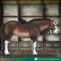Horse Color:Brown Splash 