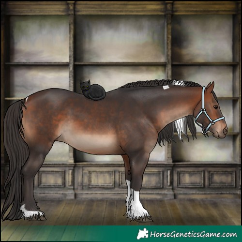 Horse Color:Bay Tobiano 