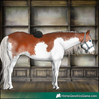 Horse Color:Silver Brown Splash 