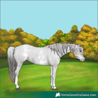 Horse Color:White Spotted Liver Red Roan Varnish 