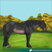 Horse Color:Brown 
