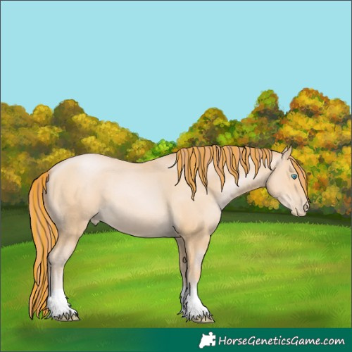 Horse Color:Painted Buckskin Pearl 