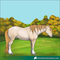 Horse Color:Painted Buckskin Pearl 