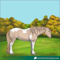 Horse Color:Perlino Tobiano