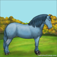 Horse Color:ERROR: UNKNOWN ANOMALY