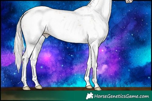 Horse Color:Silver Black Pearl Sabino 